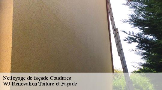Nettoyage de façade  40500
