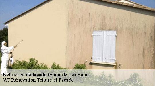 Nettoyage de façade 40380