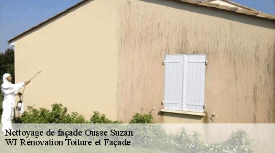 Nettoyage de façade 40110