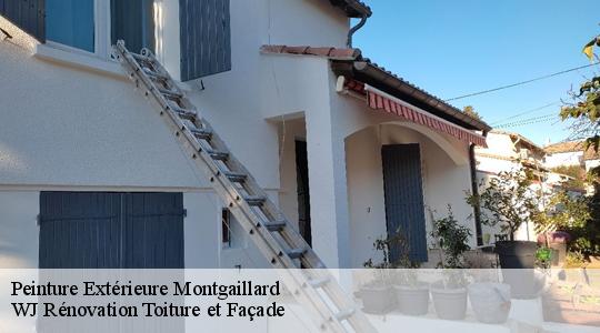 Peinture Extérieure  40500