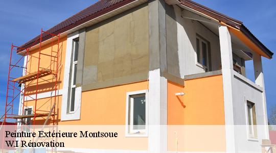 Peinture Extérieure  montsoue-40500 Ravalement Riva