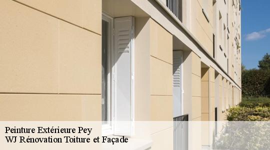 Peinture Extérieure  40300