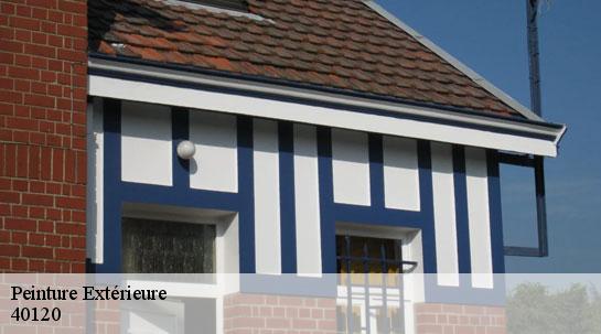 Peinture Extérieure  40120