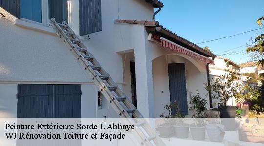 Peinture Extérieure 40300