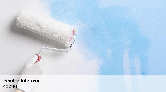 Peintre Intérieur  40230