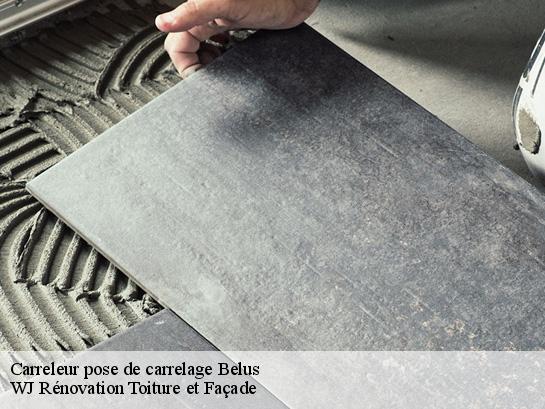 Carreleur pose de carrelage 40300