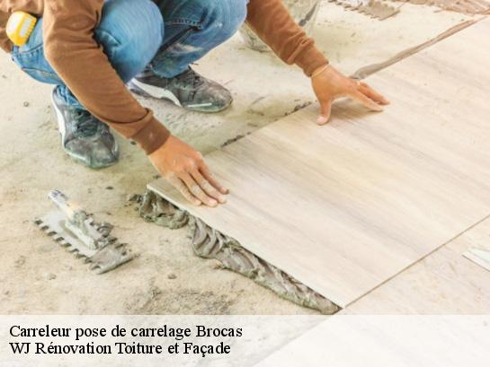 Carreleur pose de carrelage  40420