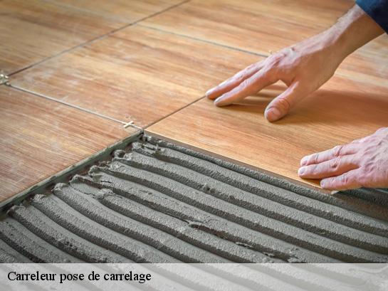 Carreleur pose de carrelage 40200
