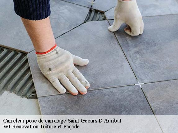 Carreleur pose de carrelage  saint-geours-d-auribat-40380 WJ Rénovation Toiture et Façade