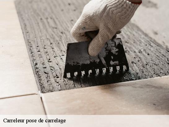 Carreleur pose de carrelage 40120