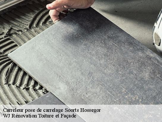 Carreleur pose de carrelage 40150