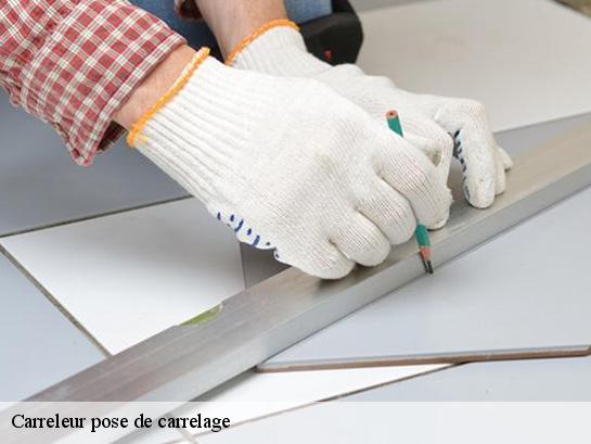 Carreleur pose de carrelage 40240