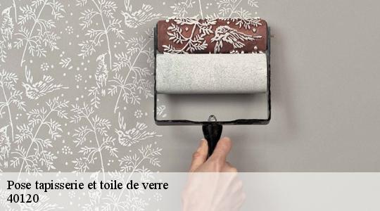 Pose tapisserie et toile de verre  40120