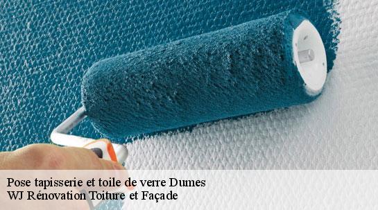 Pose tapisserie et toile de verre 40500