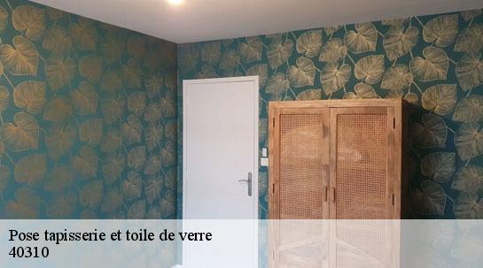 Pose tapisserie et toile de verre 40310