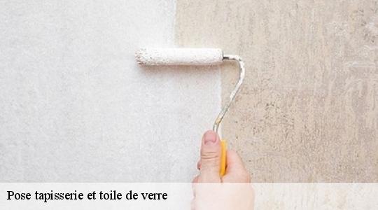 Pose tapisserie et toile de verre  40380