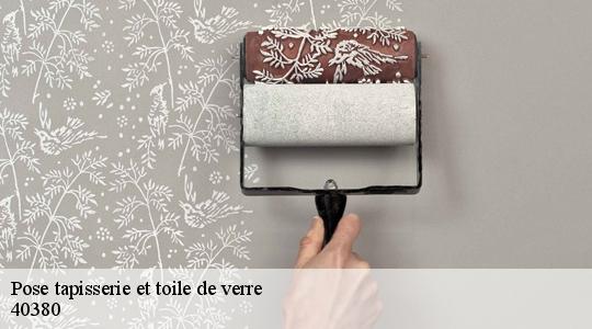Pose tapisserie et toile de verre  40380