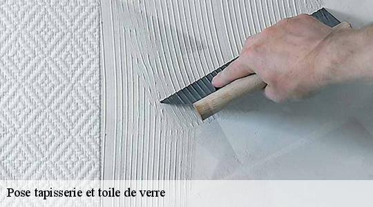 Pose tapisserie et toile de verre  40380
