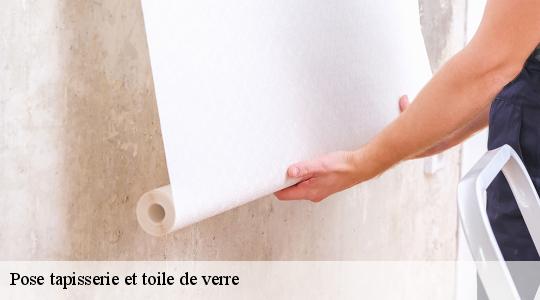 Pose tapisserie et toile de verre  40380