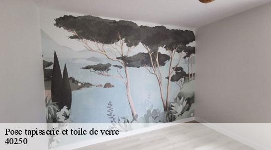 Pose tapisserie et toile de verre  40250