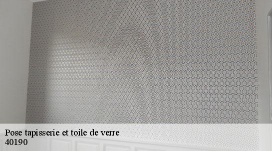 Pose tapisserie et toile de verre  40190