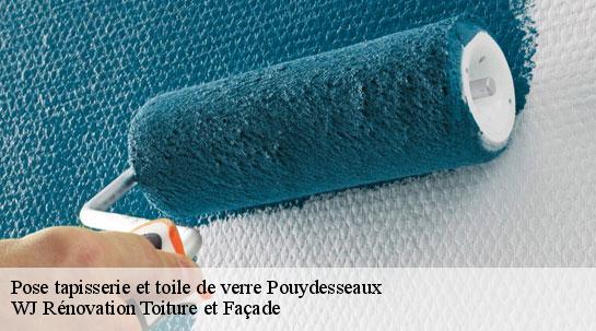 Pose tapisserie et toile de verre  40120