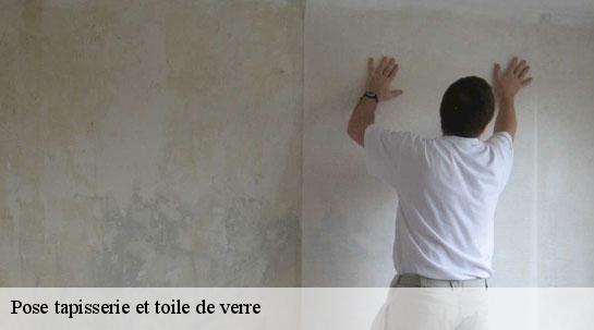 Pose tapisserie et toile de verre  40190