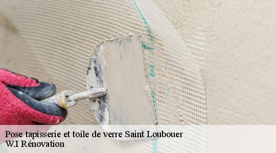 Pose tapisserie et toile de verre  saint-loubouer-40320 W.I Rénovation