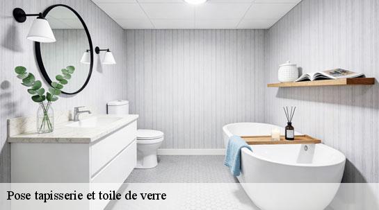 Pose tapisserie et toile de verre  40140