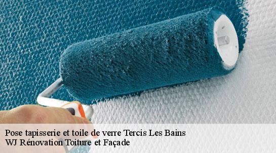 Pose tapisserie et toile de verre 40180
