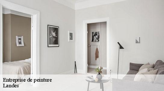 Entreprise de peinture Landes 