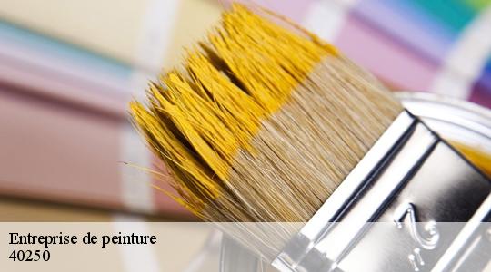 Entreprise de peinture  40250