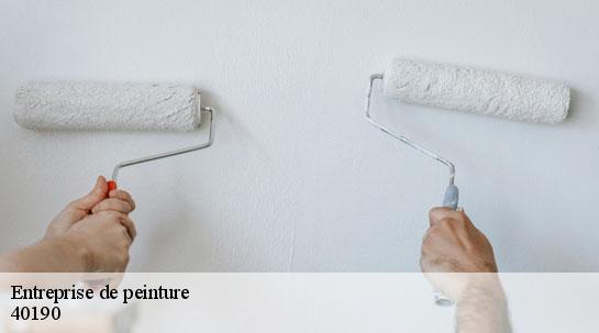 Entreprise de peinture  40190