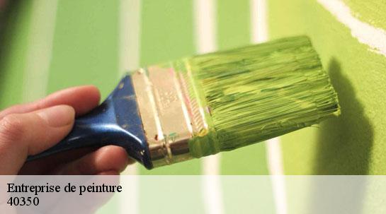 Entreprise de peinture  40350