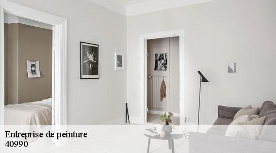 Entreprise de peinture 40990