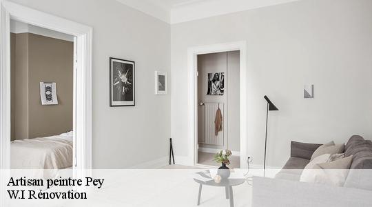 Artisan peintre  40300
