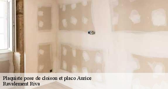 Plaquiste pose de cloison et placo  aurice-40500 Ravalement Riva