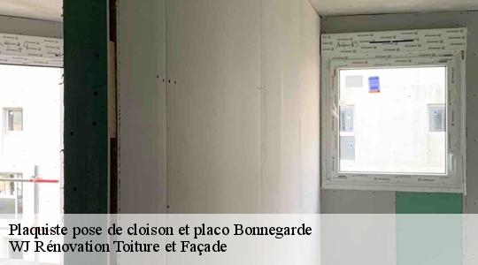 Plaquiste pose de cloison et placo  40330