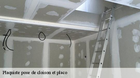 Plaquiste pose de cloison et placo  40400