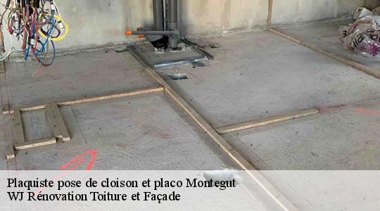 Plaquiste pose de cloison et placo  40190