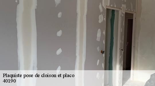 Plaquiste pose de cloison et placo  40190