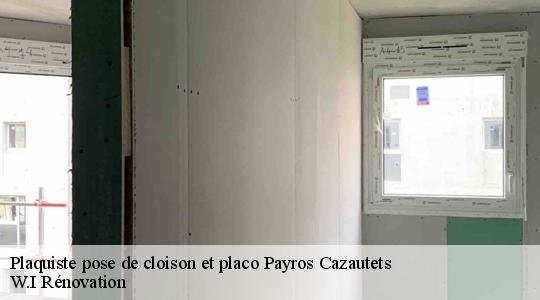 Plaquiste pose de cloison et placo  40320