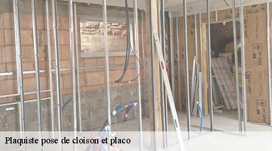 Plaquiste pose de cloison et placo 40300
