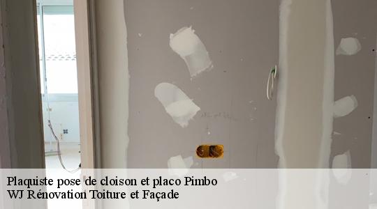 Plaquiste pose de cloison et placo  40320