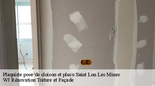 Plaquiste pose de cloison et placo 40300