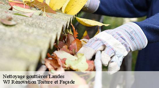 Nettoyage gouttières Landes 