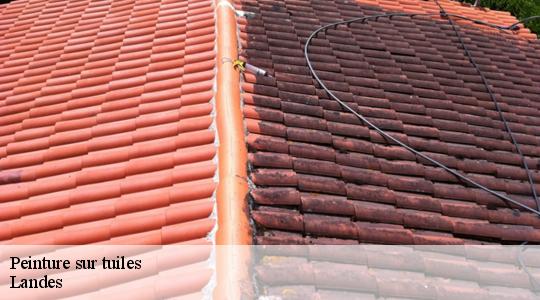 Peinture sur tuiles Landes