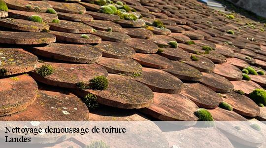 Nettoyage demoussage de toiture Landes 