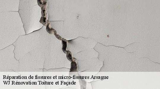 Réparation de fissures et micro-fissures  arsague-40330 WJ Rénovation Toiture et Façade
