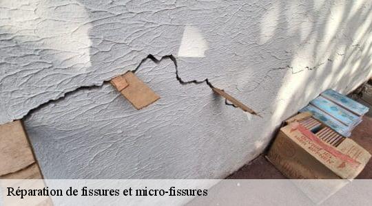 Réparation de fissures et micro-fissures  40500